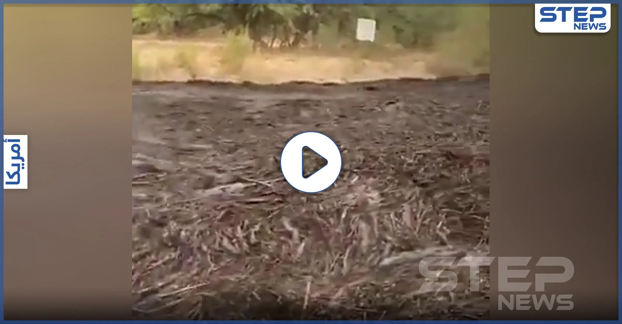 بالفيديو|| سيل أسود جارف في ولاية أريزونا الأمريكية بعد كارثة بيئية: مقطع فيديو