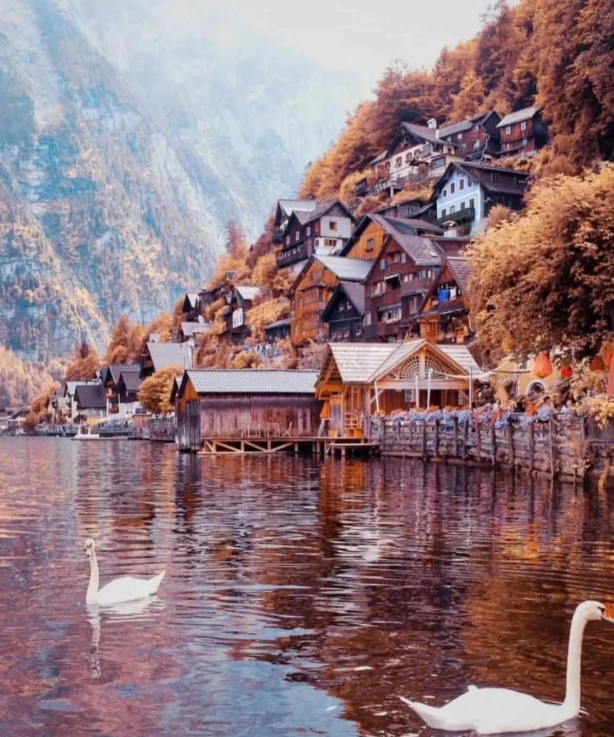 النمسا - عدسة الجمهور - وكالة ستيب نيوز