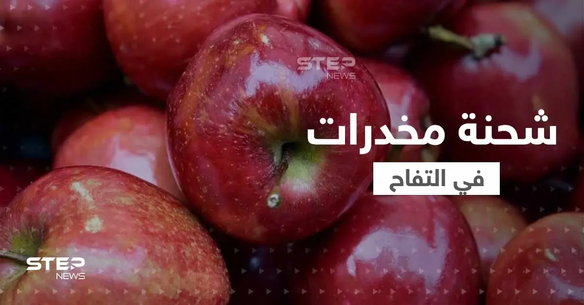 محكمة مصرية تصدر حكماً قوياً على عصابة هرّبت المخدرات من سوريا من خلال "التفاح": الإعدام شنقاً