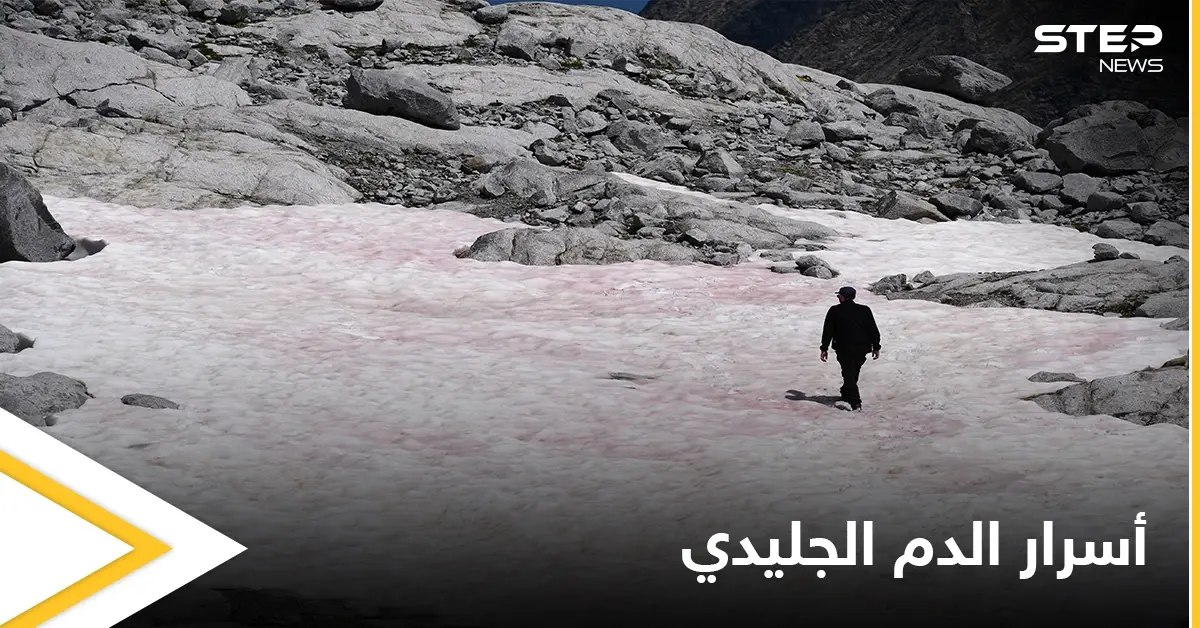 "الدم الجليدي" ظاهرة تحول الثلج إلى اللون الوردي في جبال الألب قد تغير المفاهيم العلمية حول المناخ في كوكبنا: المناخ