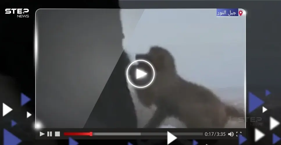 بالفيديو|| قرد يحاول سرقة ملابس إحرام سيدة على جبل النور بمكة المكرمة يثير تفاعلاً على التواصل الاجتماعي: الحجاج