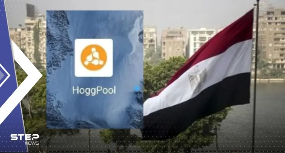 في عملية احتيال كبيرة.. منصة "هوج بول" تسرق مئات المصريين: hoogpool