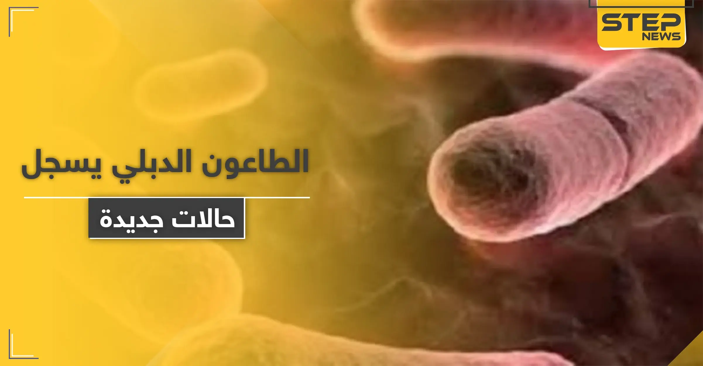 بعد الصين ومنغوليا.. الطاعون الدبلي يطرق باب أمريكا والسلطات تستعد: الطاعون الدبلي