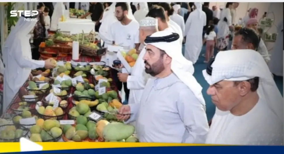 بهدف تبادل الخبرات.. الشارقة تستعد لإطلاق فعاليات  مهرجان المانجو: الشارقة