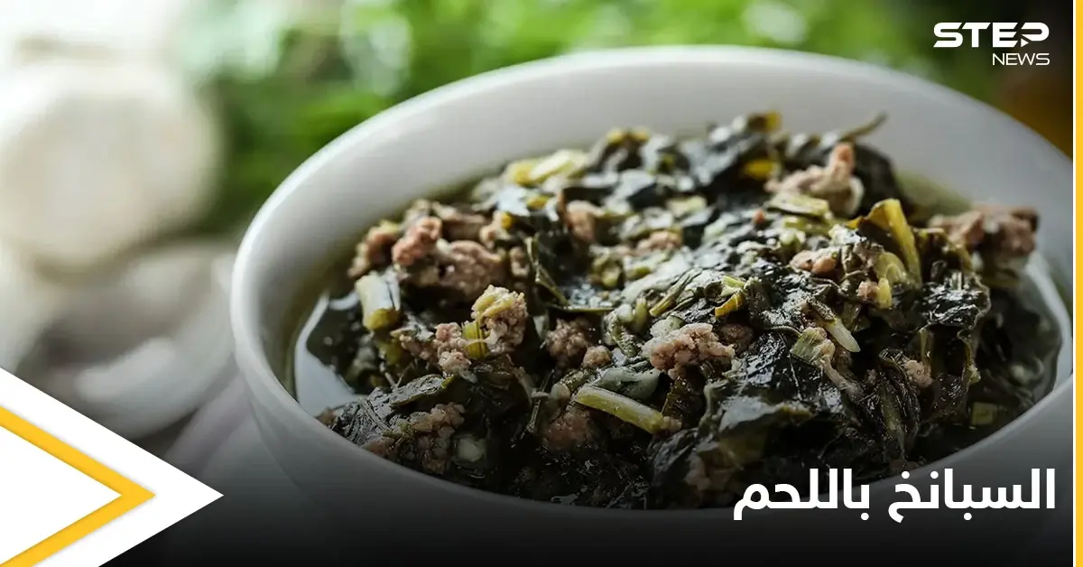 محاربة لأمراض السرطان.. "السبانخ باللحم" إليكم طريقة التحضير: فوائد السبانخ