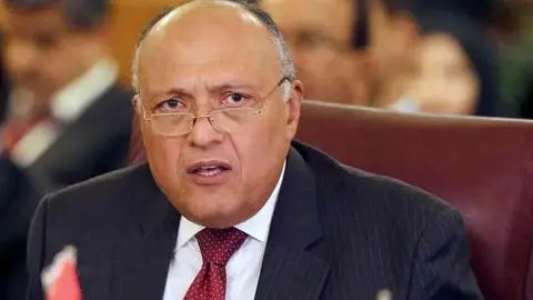 وزير الخارجية المصري يحذّر من ملء إثيوبيا سد النهضة ويعرض على غوتيرش سبل الحل: خبر عاجل