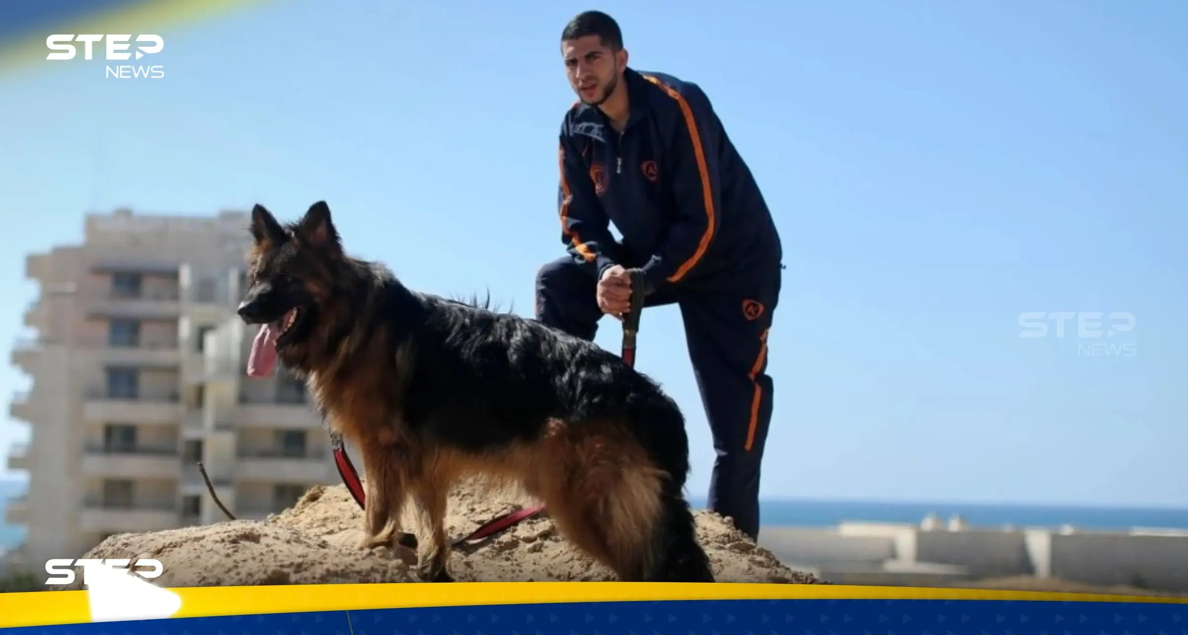 "كلاب ضخمة بمنازل غزة".. صحيفة عبرية تكشف عن ظاهرة جديدة يواجهها الجيش الإسرائيلي: كلاب ضخمة