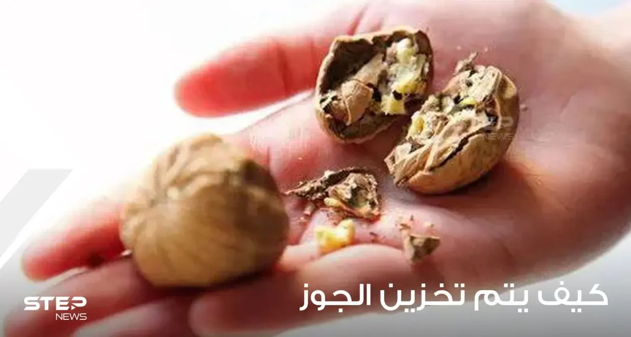 كيف يتم تخزين الجوز؟ ومتى يتم حصاده؟: بعد التجفيف يمكنك تخزينه