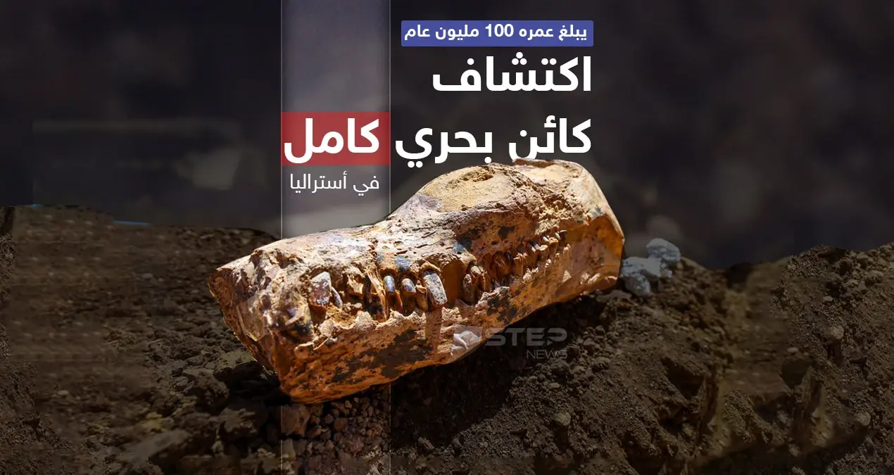 اكتشاف كائن بحري بأستراليا قدّر العلماء عمره بـ 100 مليون عام: إنفوغرافيك