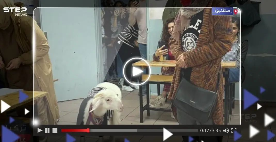 بالفيديو|| برفقة ماعزها.. مواطنة تركية تصوّت في الجولة الثانية من الانتخابات التركية: الانتخابات التركية