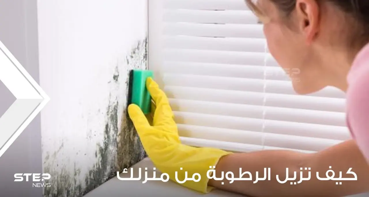 دع منزلك يتنفس بشكل مريح: طرق طبيعية وسهلة لمنع الرطوبة: فضلات القطط