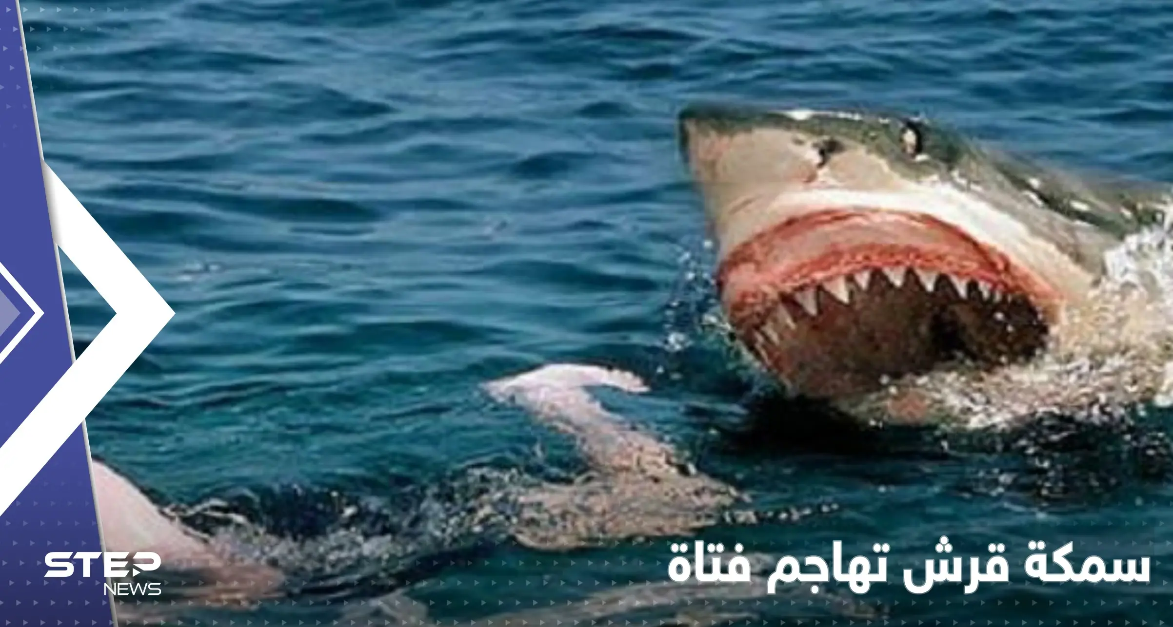 بالفيديو|| "صدمة" الناس على شاطئ استرالي بعد مهاجمة سمكة قرش لفتاة نزلت للبحر: شاهد بالفيديو