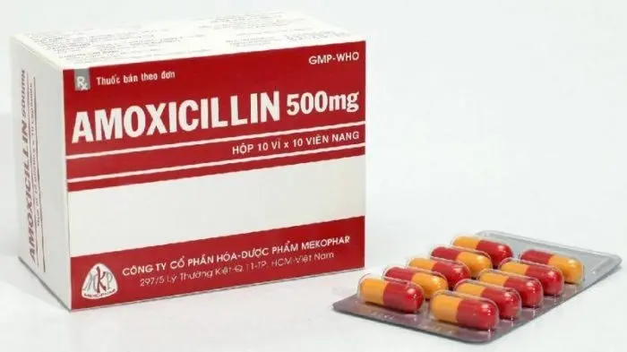 amoxicillin 500 دواعي الاستعمال والأعراض الجانبية: التهاب الرئة