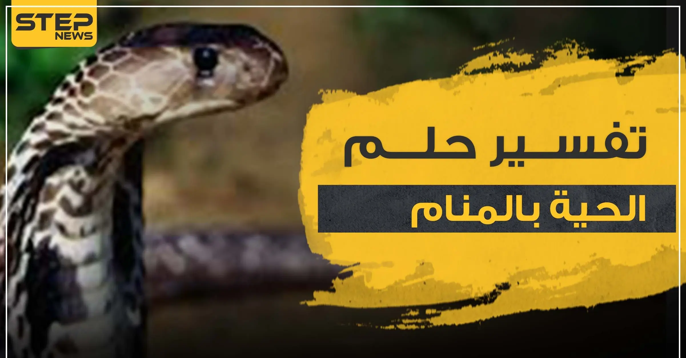 تفسير حلم الحية بالمنام بأكثر من 5 روايات ووفق كل الأوضاع: تعبير الأحلام