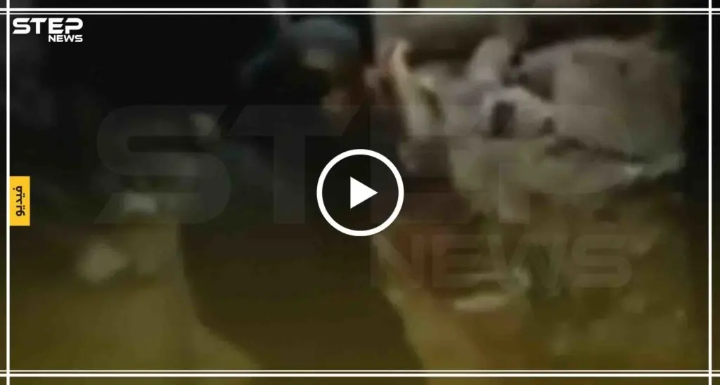 شاهد بالفيديو لحظة سقوط القذائف التي أطلقت من الجانب السوري على الأراضي التركية: تركيا