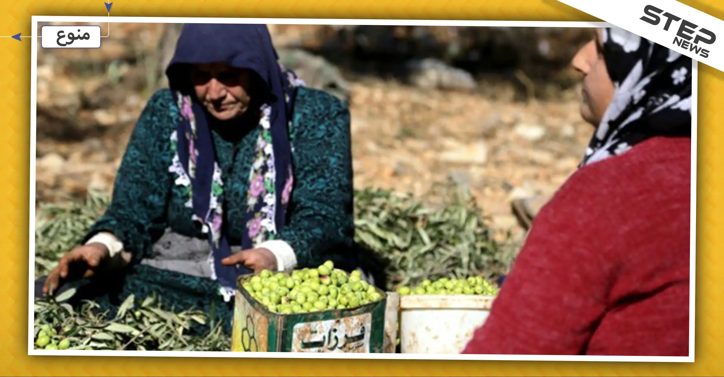 على الرغم من انتاجه بمناطق سيطرة المعارضة.. أولى شحنات زيت الزيتون السوري تصل روسيا!: سيطرة المعارضة