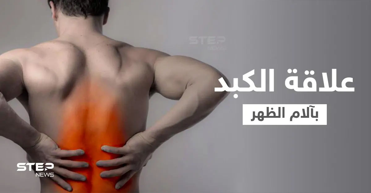 هل الكبد يسبب ألم الظهر وما هي الأعضاء الداخلية الأخرى التي تؤدي إلى ذلك: الكبد