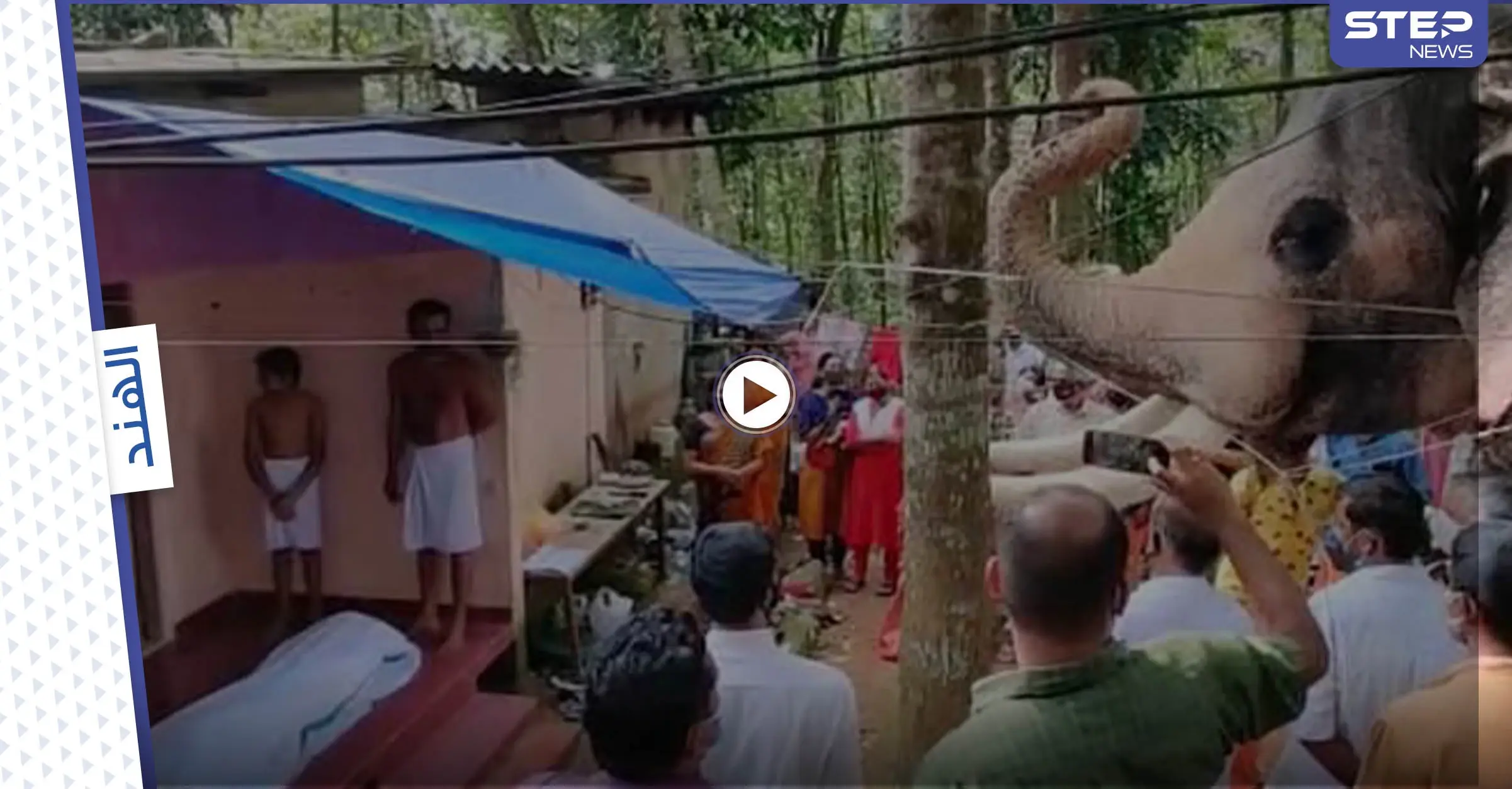 بالفيديو|| لحظة حزينة لفيل وهو يودع مدربه ويلقي عليه التحية الأخيرة: فيل