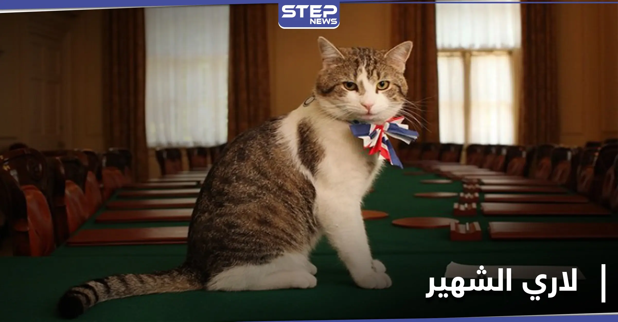 من هو لاري.. أول قط يمتلك منصباً في رئاسة الوزراء البريطانية: القط لاري