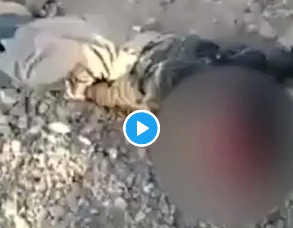 بالفيديو|| ميليشيا الحوثي تقتل طفلاً أثناء إحضاره الماء لأسرته.. والإرياني يكشف حصيلة استهداف منزل زعيم قبلي: مأرب