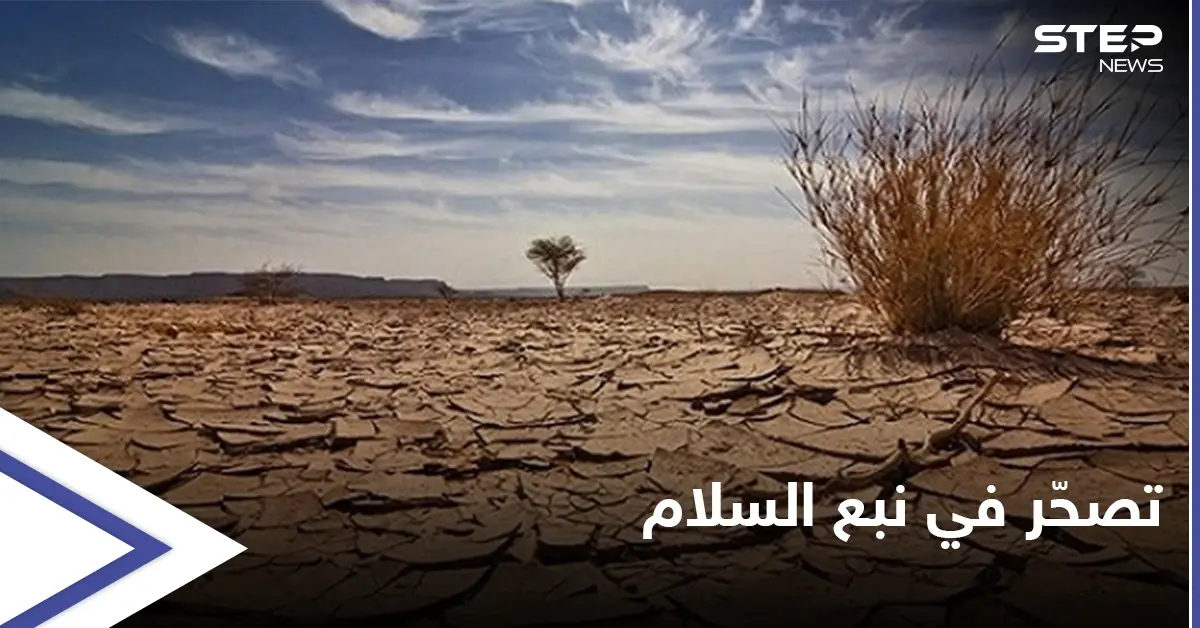 أزمة وقود تعطّل الأفران وتهدد محاصيل زراعية في مناطق "نبع السلام" شمال سوريا: تل أبيض