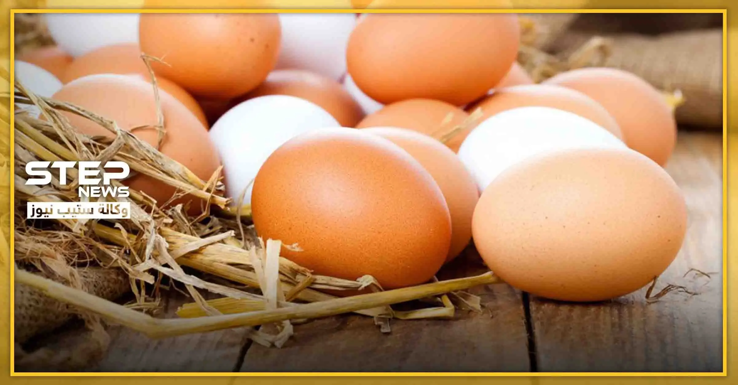 معلومة طبّية هامّة.. تناول البيض يومياً له مخاطر قد تؤدي للموت: جامعة هارفارد