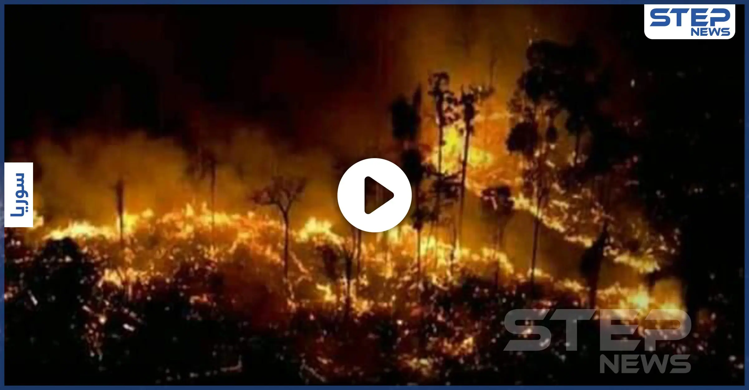 بالفيديو والصور|| الساحل يشتعل.. حرائق الغابات السورية تلتهم الأخضر واليابس بفعل مجهول والنظام عاجز: صور سوريا