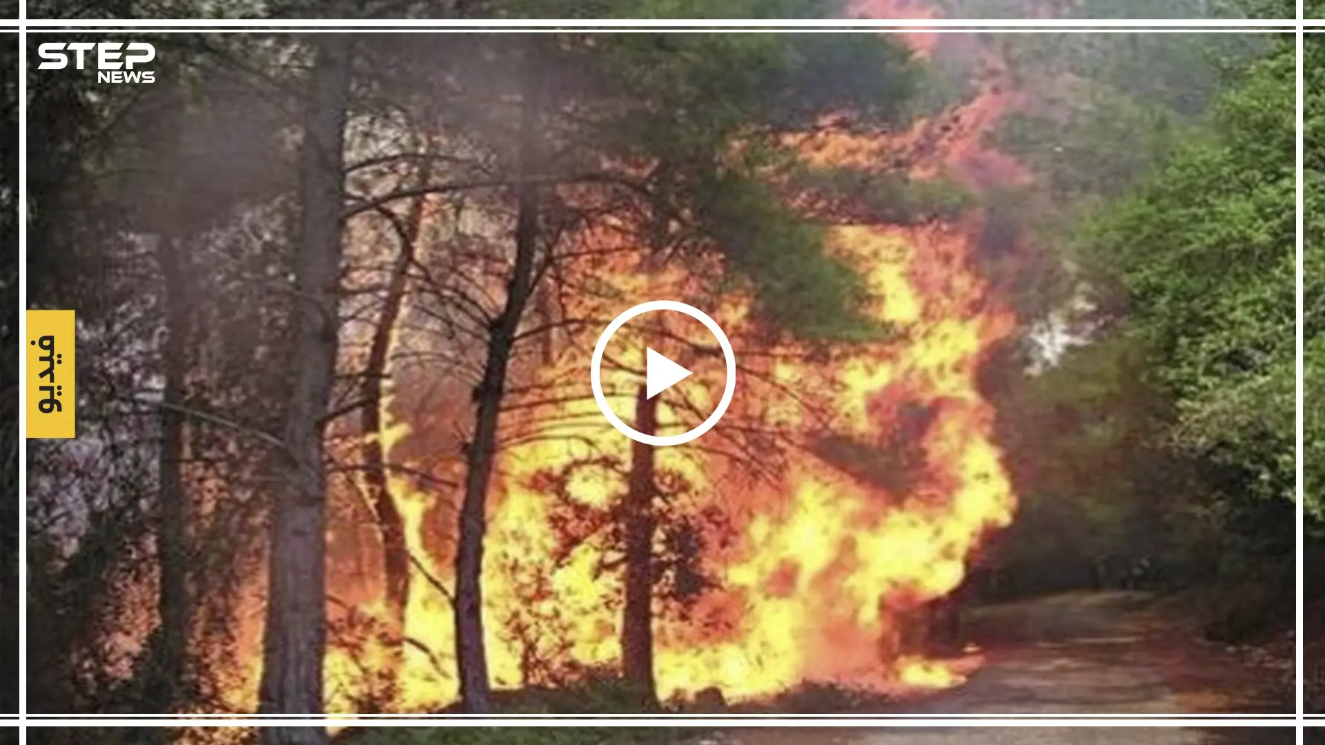 حريق يطال أشجار تبلغ من العمر مئات الأعوام بريف مصياف (فيديو): حريق