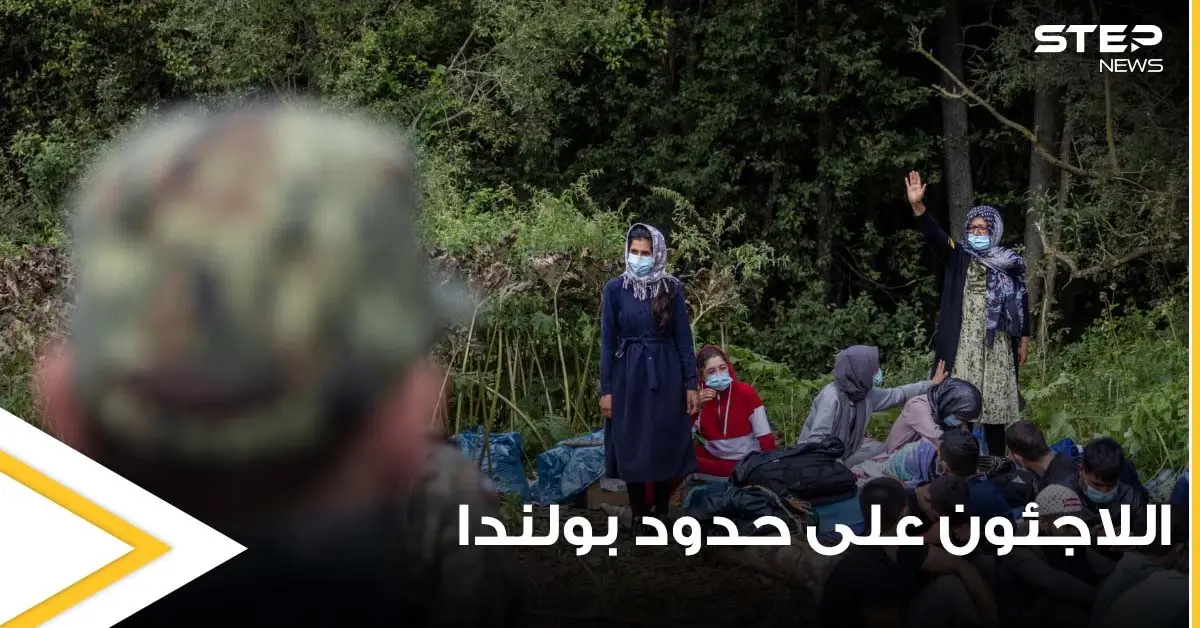 "يغتصبون الأبقار".. أزمة حقيقة يعيشها اللاجئون على حدود بولندا واتهامات تجاوزت الحد: عمدة ميتشالوو