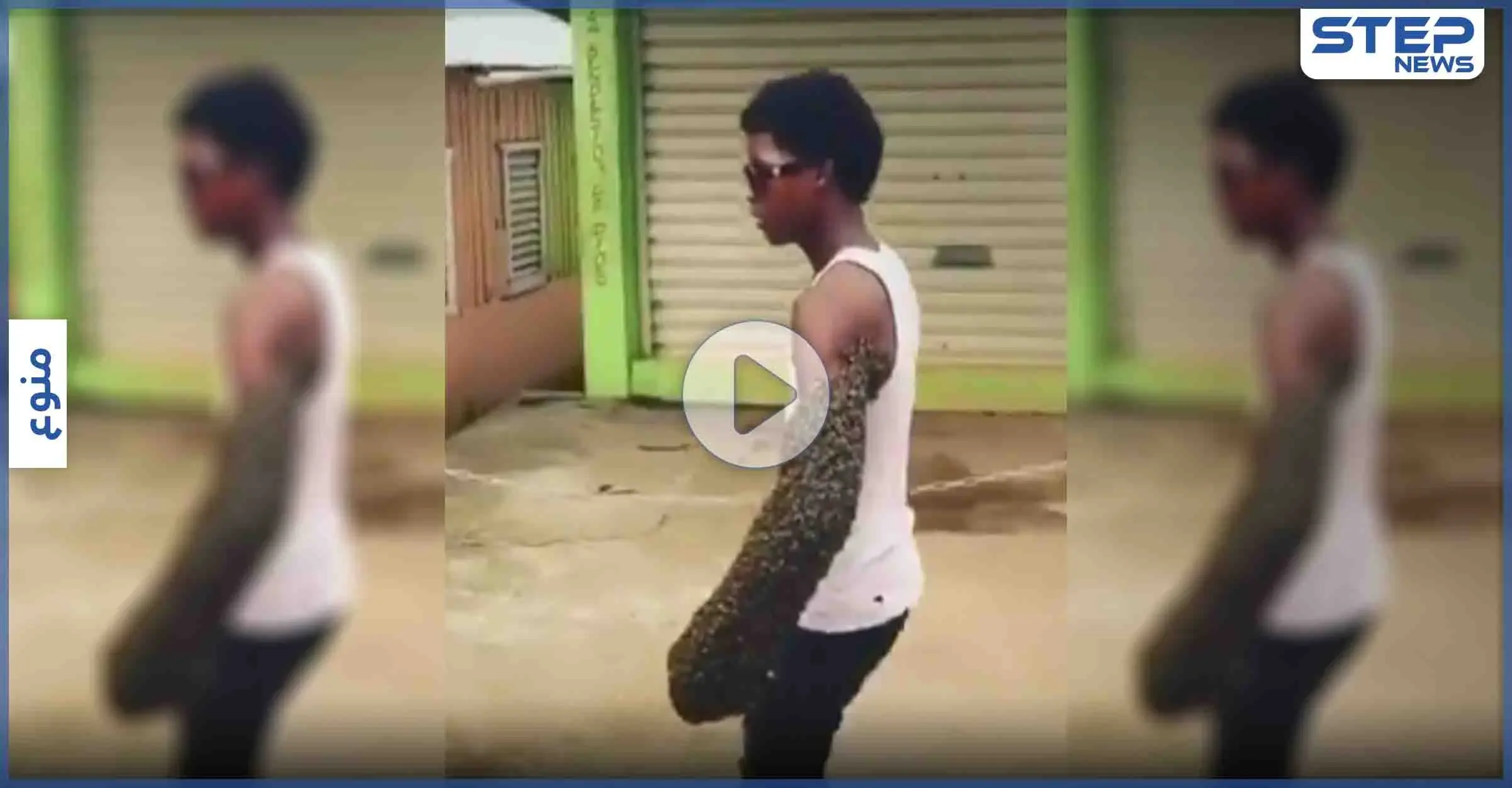 بالفيديو|| شاب ينقل مستعمرة نحل على يده بعد إلقاءه القبض على الملكة: مستعمرة نحل