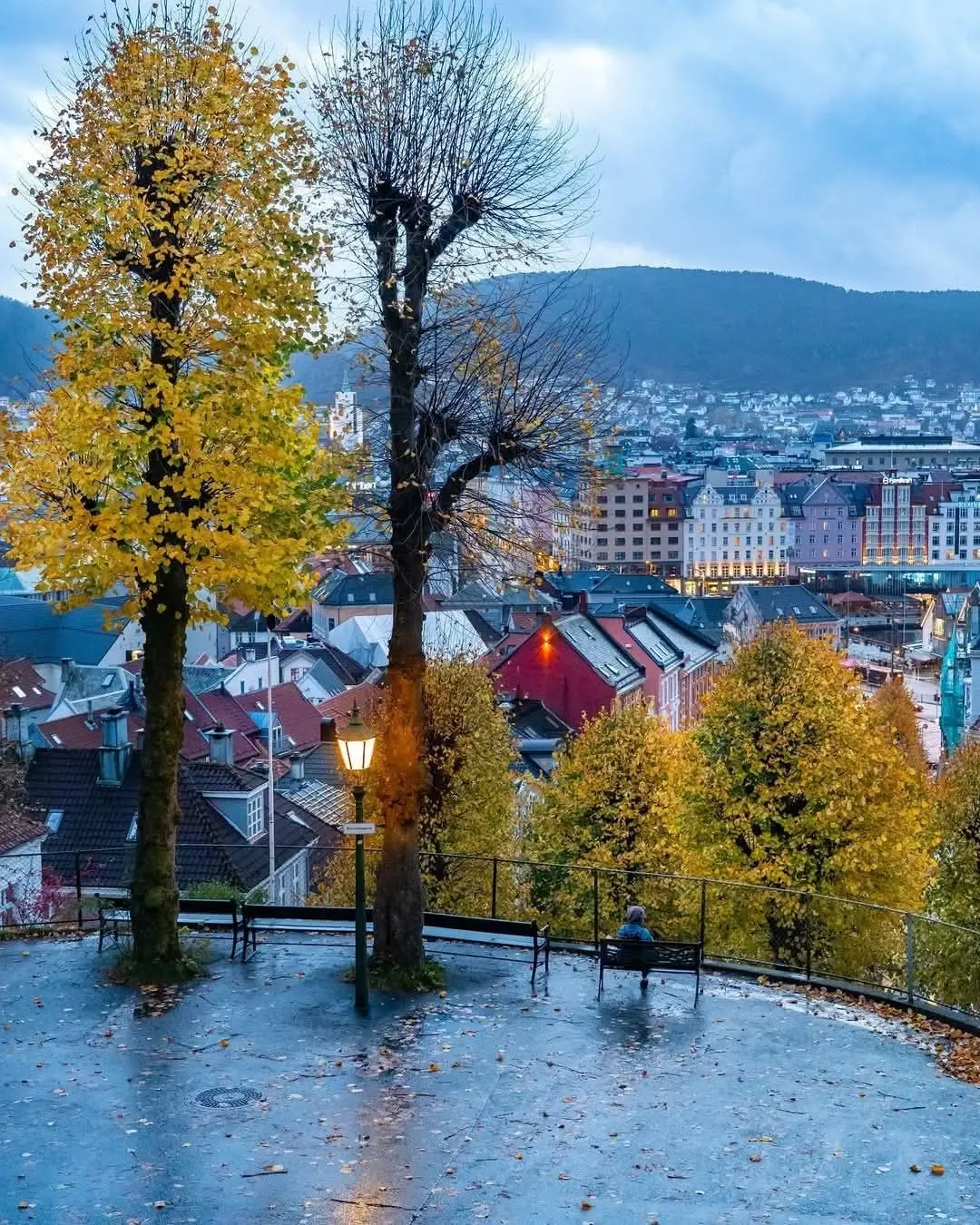 النرويج - عدسة الجمهور - وكالة ستيب نيوز