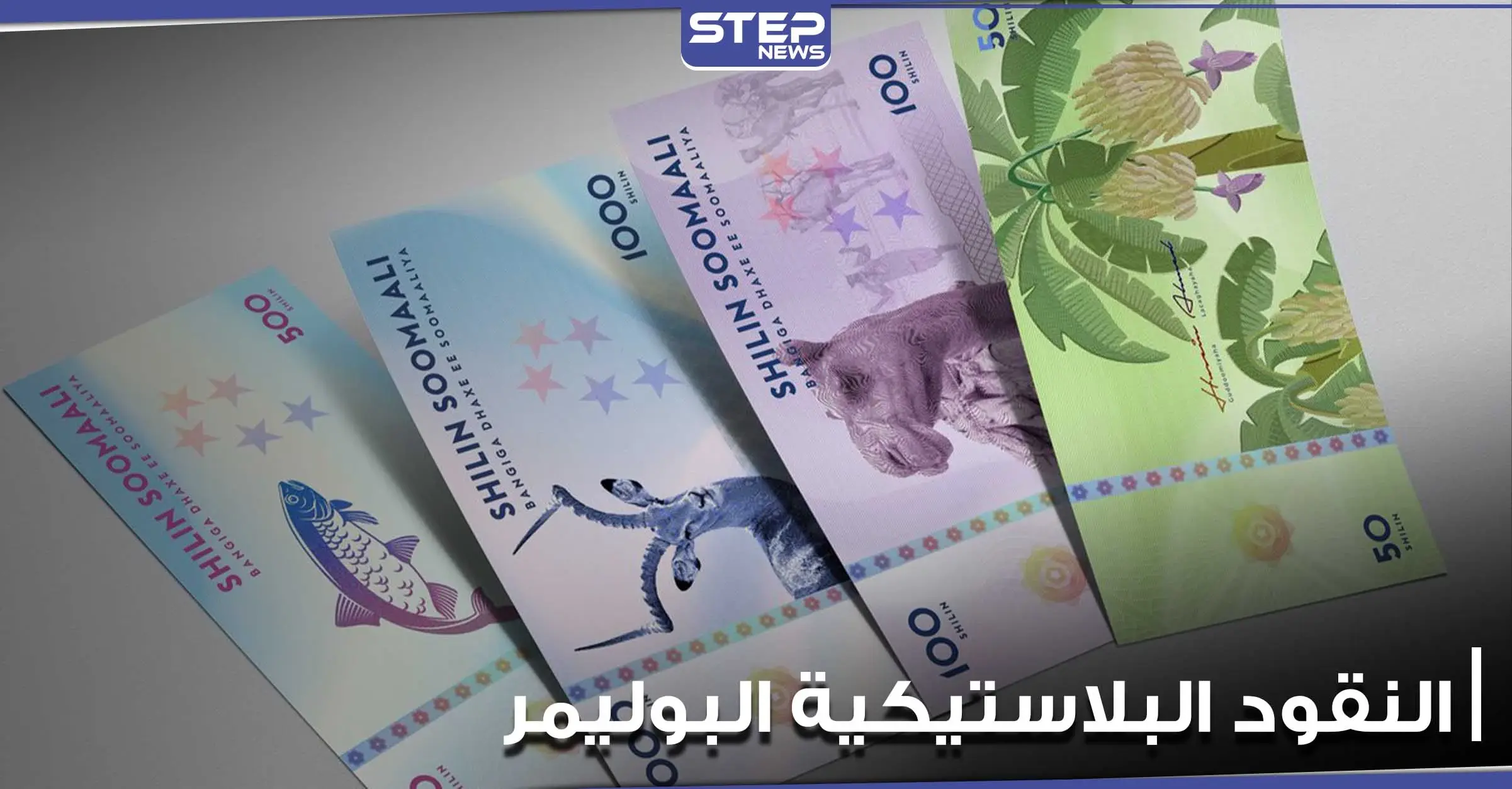 البنك المركزي المصري يكشف تاريخ البدء بطباعة النقود البلاستيكية البوليمر.. ومحللون يوضحون أهميتها: تجارة واقتصاد