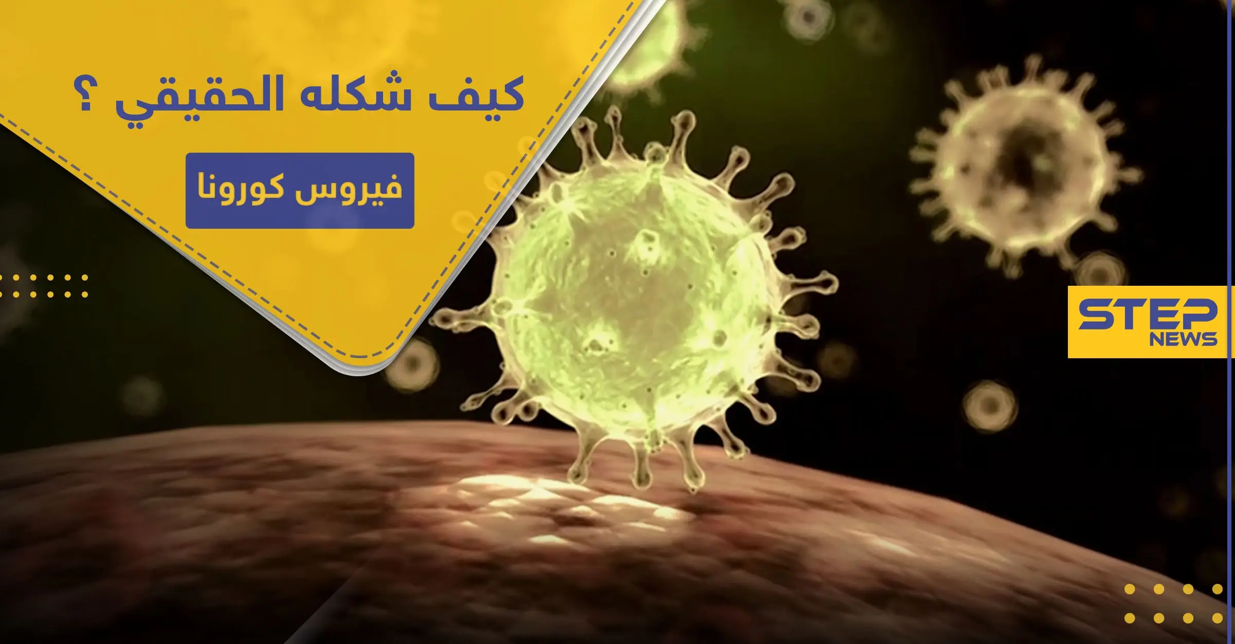 شاهد|| خالف الشكل الذي رسمناه له.. هكذا بدا كورونا بأول صورة تفصيلية: كورونا في العالم
