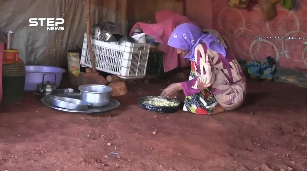 شاهد كفاح وصبر "أم عويد" من أجل تأمين مصدر رزق لأبنائها بعد أن هجرتها طائرات الأسد وأرهقها النزوح: كفاح