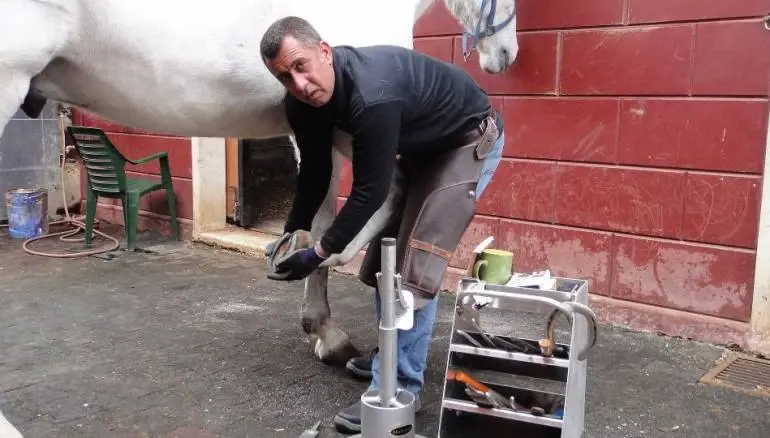 "شركسي" سوري أحد ضحايا مجزرة مسجد نيوزيلندا، فمن هو؟!: نيوزيلندا