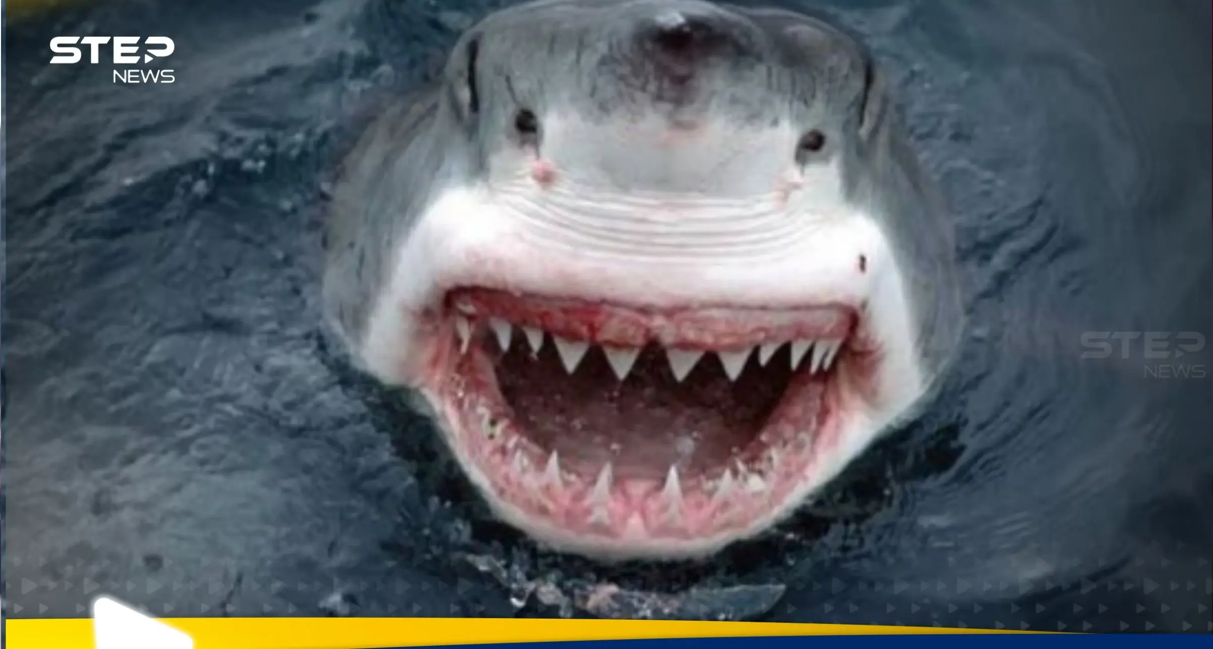 أسماك القرش تهاجم إسرائيليين على شواطئ الخضيرة.. واختفاء رجل: شواطئ الخضيرة