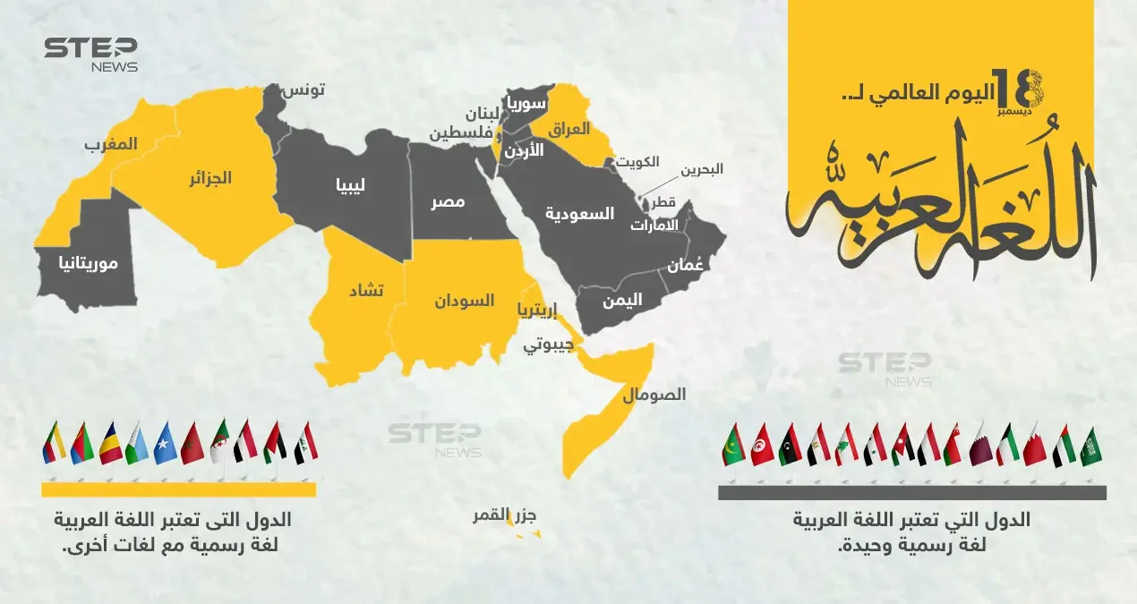 في اليوم العالمي للغة العربية، تعرّف على الدول التي تعتمدها لغة رسمية أو  لغة ثانية.: الوطن العربي