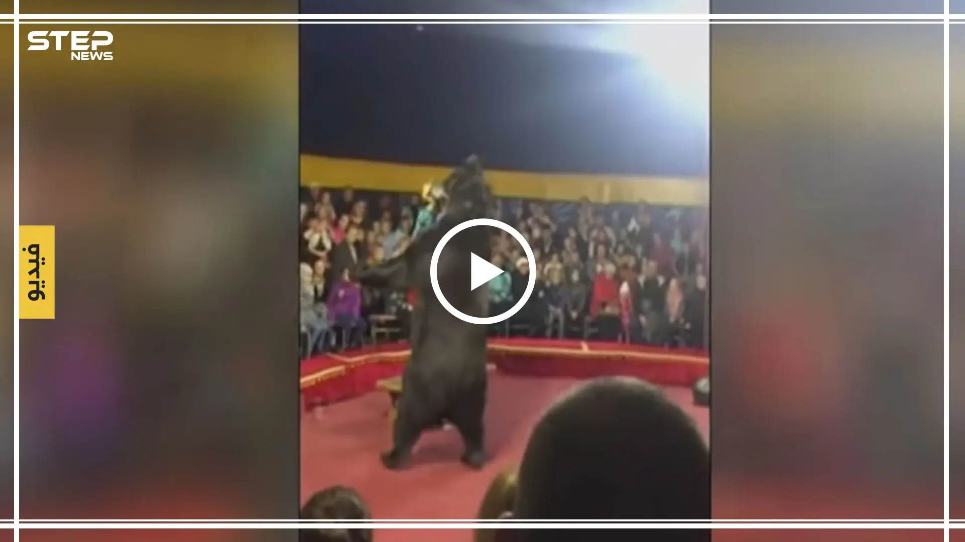 بالفيديو... في مشهدٍ خطير دب يهاجم مدربه خلال عرض سيرك: سيرك روسي