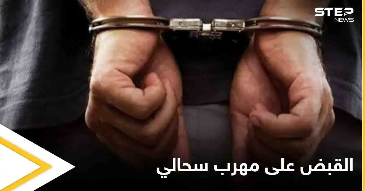 رجل يحاول تهريب 200 سحلية إلى مصر بطريقة غريبة: تهريب