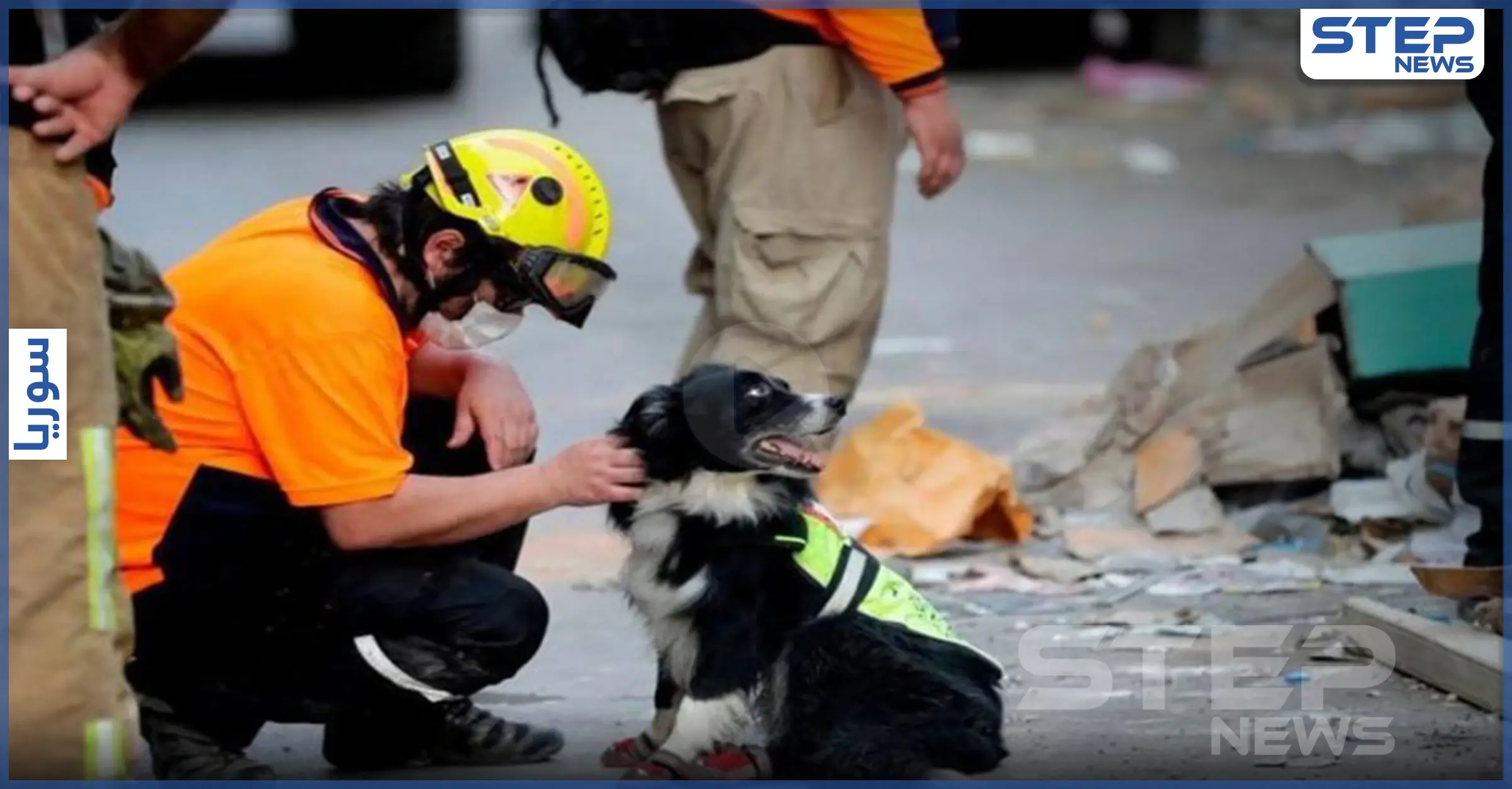 بالفيديو|| الكلب فلاش بات بطلاً بعيون اللبنانيين بعد اكتشافه شخصاً تحت الركام.. تعرف عليه: جثة