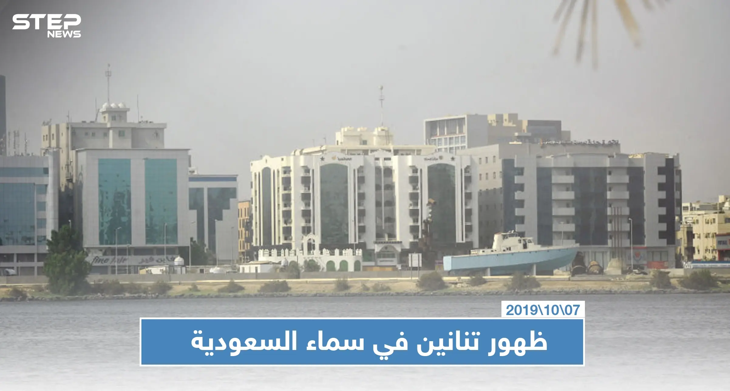 لن تصدق.. مشاهدة تنانين في سماء السعودية!!: حيوانات غريبة