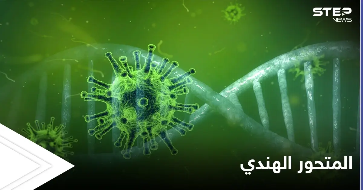 المتحور الهندي يصل لعدد من الدول العربية.. ومسؤول سوري هناك طريقتين لدخول الطفرة لبلدنا: انتشار فيروس كورونا