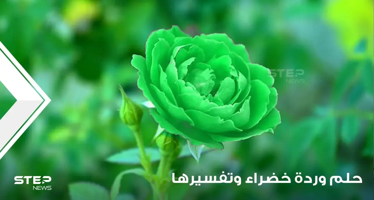 ماذا يعني أن ترى زهرة خضراء في إناء في المنام؟ وماهي دلالة هذه الرؤية: تفسر بثمان أمور