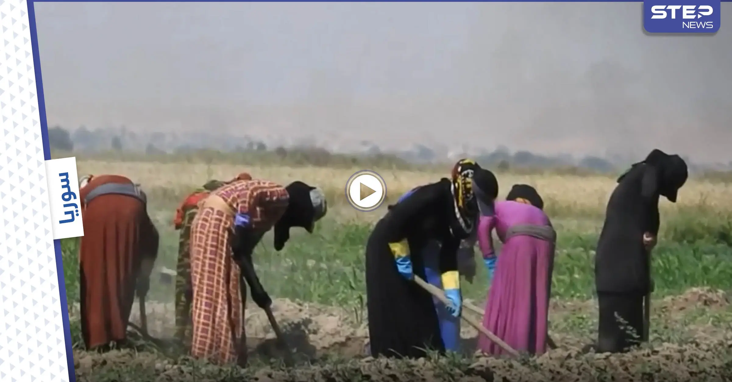 لجوء النساء إلى أعمال الزراعة في شمال شرق سوريا بسبب تردي الوضع المعيشي: النساء