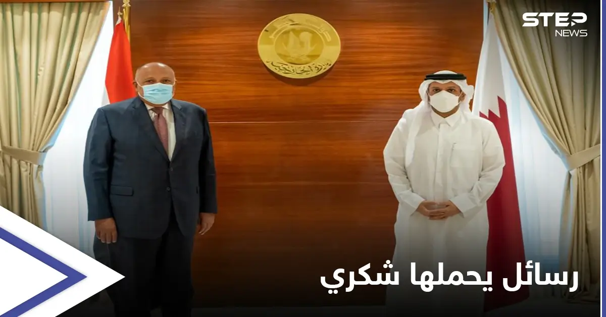 سامح شكري من الدوحة: لدينا رسالة قوية لإثيوبيا ونتحفّظ على سياسات أنقرة: محمد بن عبد الرحمن آل ثاني