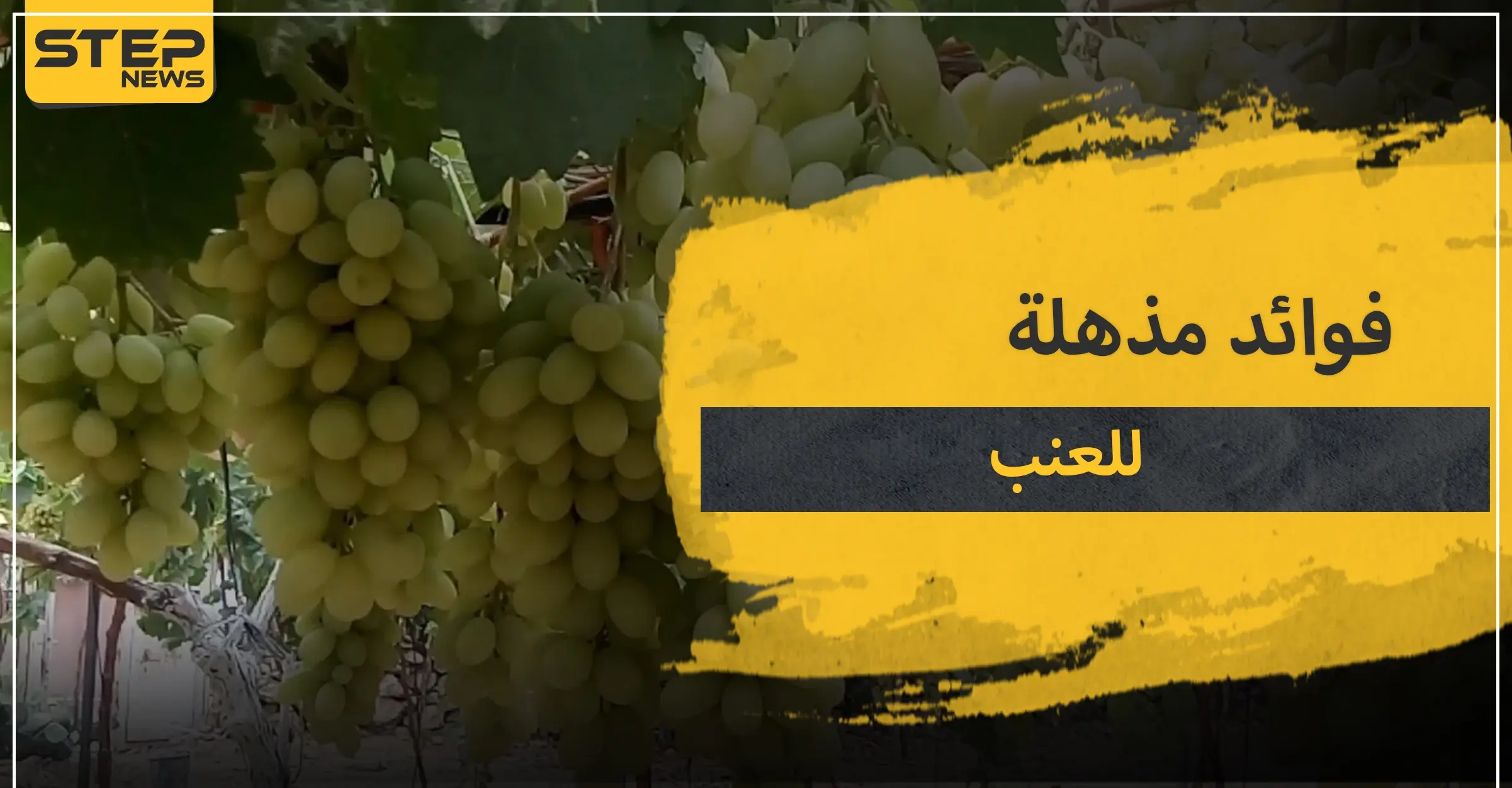 15 فائدة مذهلة لـ العنب .. تعرف عليها قبل أن يفوتك موسمها: فوائد العنب