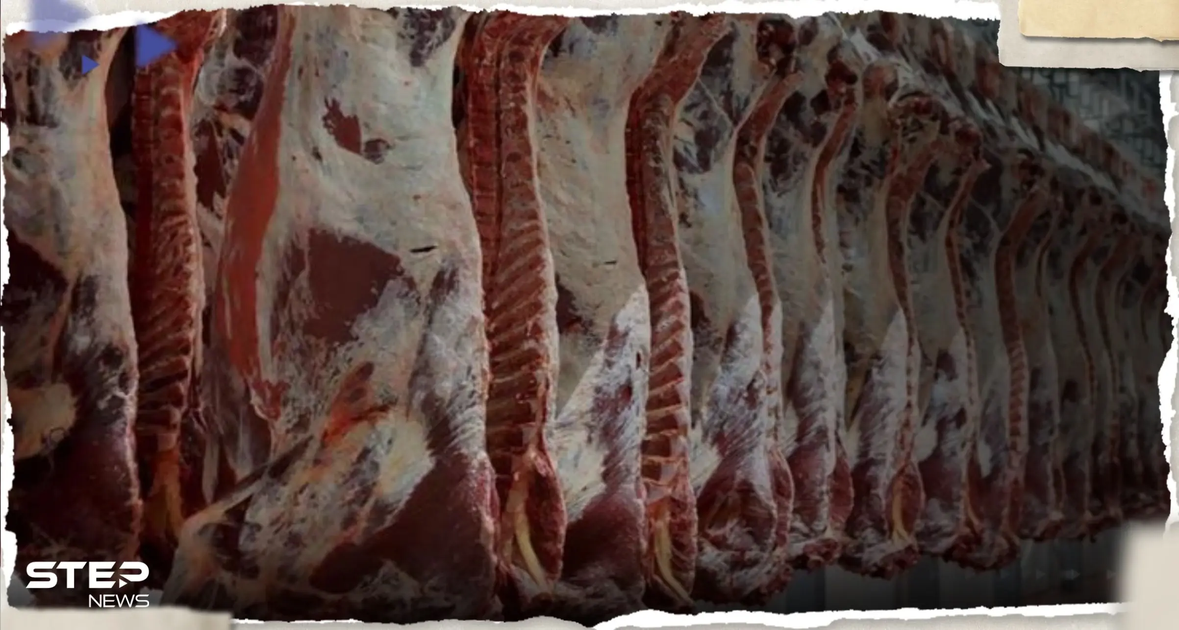 بمناسبة عيد الأضحى.. هيئة الغذاء والدواء تحدد 3 علامات دالة على فساد اللحوم: أضاحي العيد