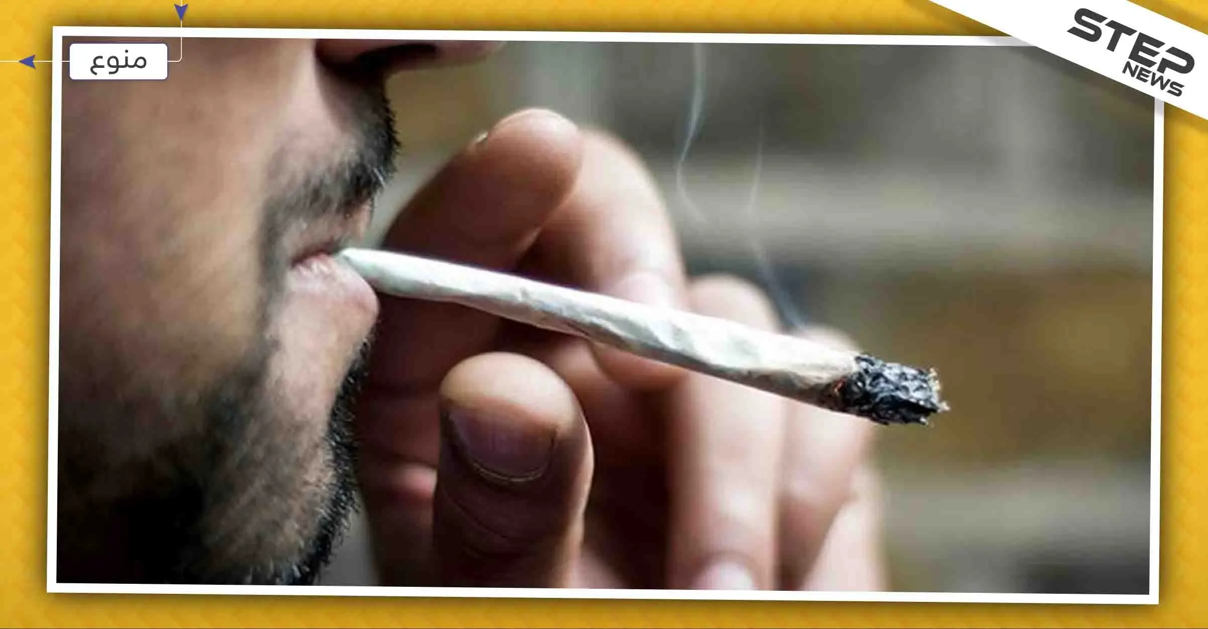 "التحشيش" بشكل يومي يزيد خطر الإصابة بمرض خطير .. تعرّف إليه: الحشيش