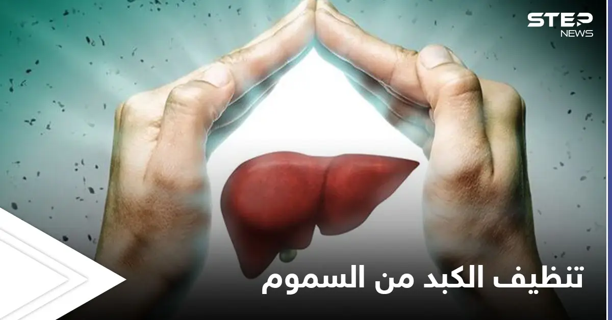 تنظيف الكبد من السموم.. تعرف على الأطعمة التي تساعد على أداء هذه العملية: الكبد