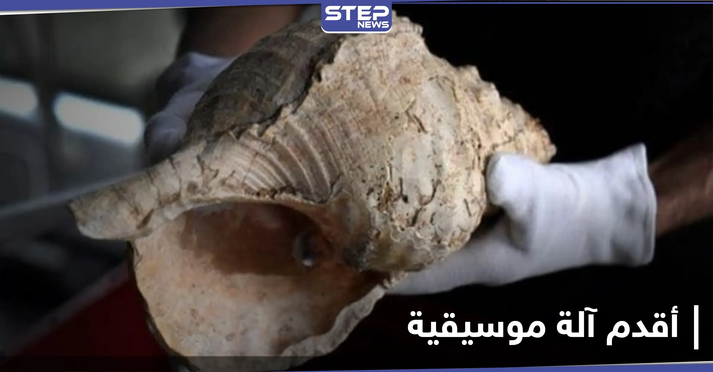 عمرها 18000 عام.. اكتشاف أقدم آلة موسيقية في مارسولا الفرنسية: اكتشاف أثري